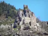 Le château de Rochebonne - Guide tourisme, vacances & week-end en Ardèche