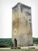 Château de Roquetaillade - Tour du château vieux