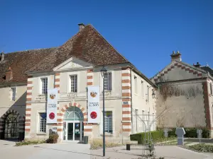 Château de Saint-Fargeau - Façade du musée de l'Aventure du Son donnant sur la place de l'Hôtel de Ville de Saint-Fargeau