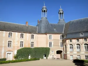 Château de Saint-Fargeau - Façades du château