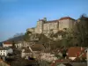 Château de Salmaise - Château surplombant les maisons du village