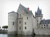 Château de Sully-sur-Loire - Forteresse médiévale et douves (la Sange)