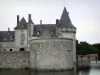 Château de Sully-sur-Loire - Forteresse médiévale, douves (la Sange) et passerelle