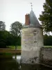 Château de Sully-sur-Loire - Tour, douves (la Sange) et parc arboré (arbres)