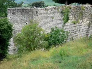 Château-Thierry - Murallas del antiguo castillo