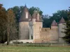 Château de Thoury - Porte d'entrée (châtelet d'entrée) et tours du château entourées d'arbres ; sur la commune de Saint-Pourçain-sur-Besbre, dans le val de Besbre (vallée de la Besbre)