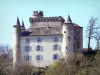 Château de Torsiac - Corps de logis et donjon du château, dans un cadre arboré