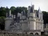 Château d'Ussé - Château en pierre et ses tours