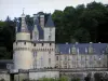 Château d'Ussé - Château et arbres