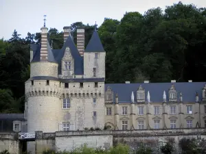 Château d'Ussé - Château et arbres