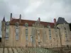 Château de Vendeuvre-sur-Barse - Façade du château