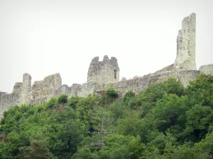 Château de Ventadour - Ruines du château de Ventadour entourées de verdure