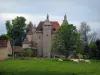 Château de Villemonteix - Château, arbres et prairie avec des vaches