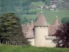 Château de Virieu - Prairie, arbres et forteresse médiévale