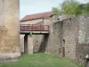 Châteauneuf - Fossé et fortifications du château