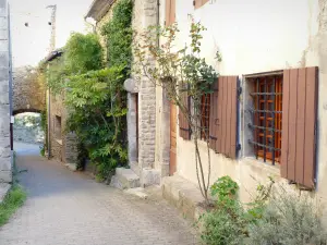 Châteauneuf-de-Mazenc - Steeg omzoomd met huizen