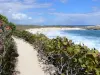 Châteaux headland - Path of the Châteaux headland overlooking the beach of the Châteaux cove and the Atlantic Ocean; in the town of Saint-François and the island of Grande-Terre