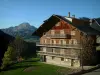 Châtel - Houten huisje, tuin, bomen en bergen op de achtergrond, in de Chablais