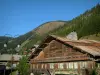 Châtel - Antigua casa de campo de madera en el pueblo (estación de esquí y en verano), y el suelo del bosque, en el Chablais