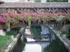 Châtillon-sur-Chalaronne - Passerelle fleurie (fleurs) enjambant la rivière Chalaronne