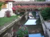 Châtillon-sur-Chalaronne - Passerelle fleurie (fleurs) enjambant la rivière Chalaronne