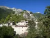 Châtillon-en-Diois - Casas del pueblo medieval en un entorno salvaje y verde, al pie de la montaña Glandasse