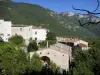 Châtillon-en-Diois - Houses of the medieval village in a green environment