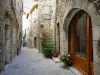 Châtillon-en-Diois - Alley lined with stone houses