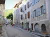 Châtillon-en-Diois - Facades of houses in the medieval village