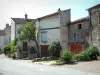 Châtillon-sur-Saône - Houses, tree, plants and flowers of the fortified village