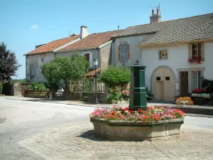 Châtillon-sur-Saône - Fontaine, dekoriert mit Blumen, Bäume und Häuser