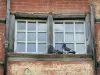 La Châtre - Tauben sich ausruhend auf dem Fenstersims