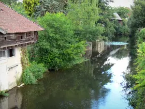 La Châtre - Arbres et anciennes tanneries au bord de la rivière Indre