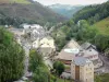 Chaudes-Aigues - Vue sur les thermes et les toits de la station thermale dans un cadre arboré