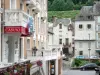 Chaudes-Aigues - Casino et façades de maisons de la station thermale