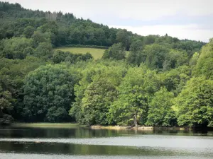 Meer van Chaumeçon - Kunstmatig meer en beboste oever, in de Morvan Regionaal Natuurpark