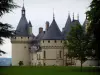 Chaumont-sur-Loire城堡 - 城堡，草坪和树木