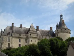 Chaumont-sur-Loire城堡 - 城堡和树木
