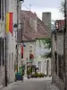 Chauvigny - Beco inclinado da cidade alta (cidade medieval) alinhada com casas de pedra