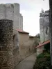 Chauvigny - Donjon de Gouzon (ou château de Gouzon) abritant l'Espace d'Archéologie Industrielle, ruelle de la ville haute (cité médiévale) et collégiale Saint-Pierre (église romane)