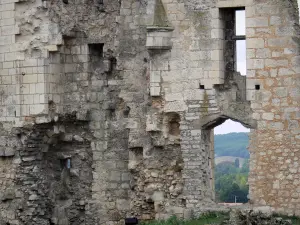 Chauvigny - Überreste des Schlosses der Barone (oder Schloß der Bischöfe)