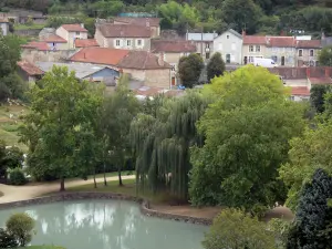 Chauvigny - Trees and expanse of water of the public garden, houses of the city