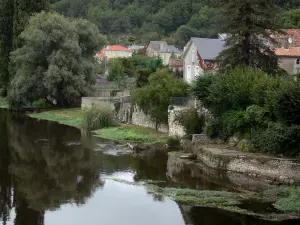 Chauvigny - Río Vienne, árboles y casas en la ciudad