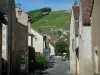 Chavignol - Maisons du village de vignerons et colline couverte de vignes en arrière-plan