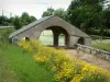 Guide du Cher - Villages du Berry - Fleurs sauvages jaunes, lavoir, rivière et arbres