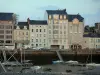 Cherbourg-Octeville - Möwen (Meeresvögel) vorne, angemachte Schiffe (Hafen) und Gebäude der Stadt