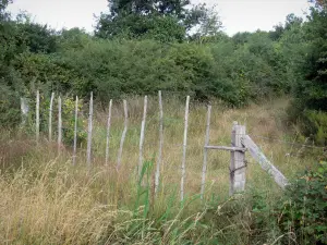 Chérine Nature Reserve - Забор и растительность; в Региональном природном парке Бренне