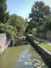 Chevreuse - Passeio das pequenas pontes, ao longo do canal Yvette