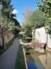 Chevreuse - Paseo de los pequeños puentes que cruzan el canal Yvette
