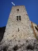 Chevreuse - Castillo de la magdalena